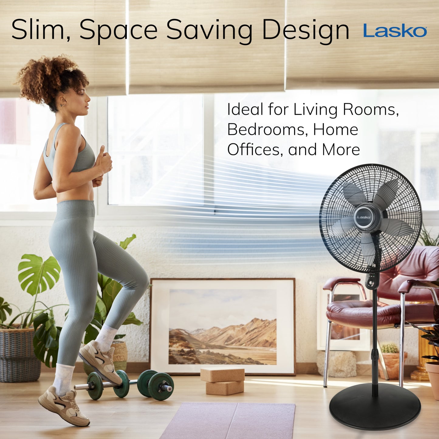 Lasko 20" Pedestal Fan: Oscillating, 4-Speed, Remote, Timer, Black