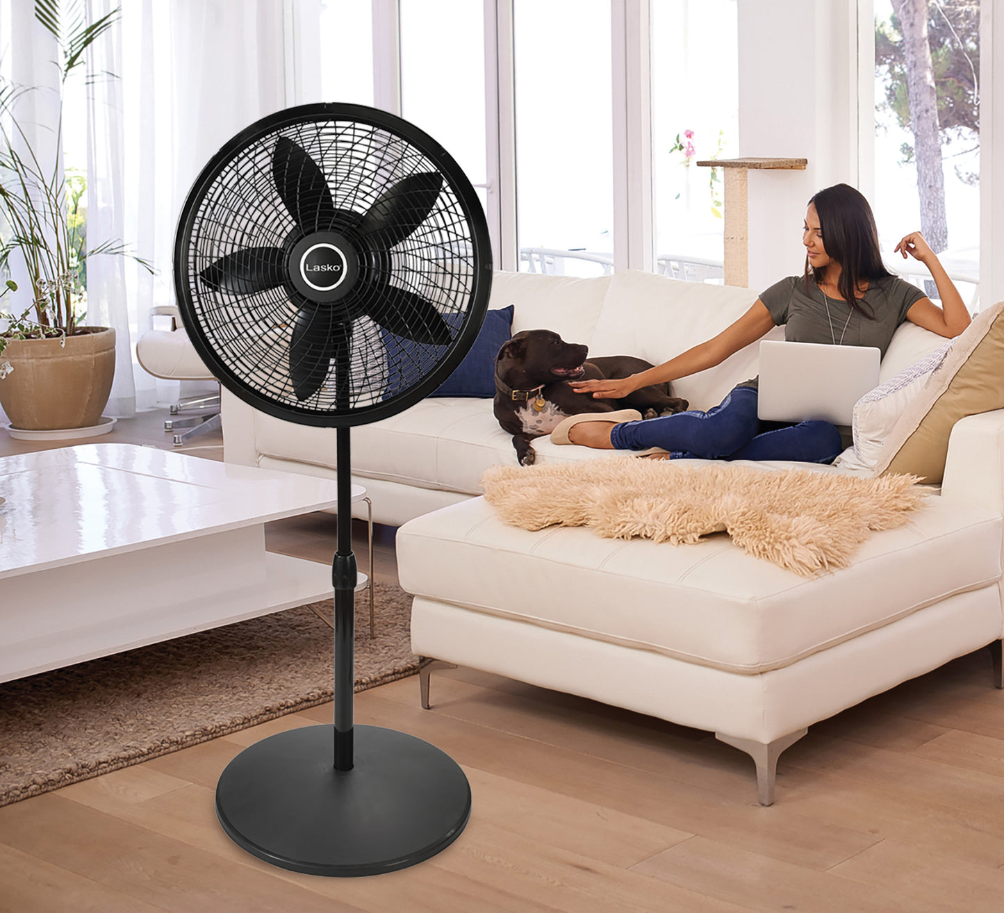 Lasko Cyclone 18" Pedestal Fan: Oscillating, 3-Speed,  Adjustable Height, Black