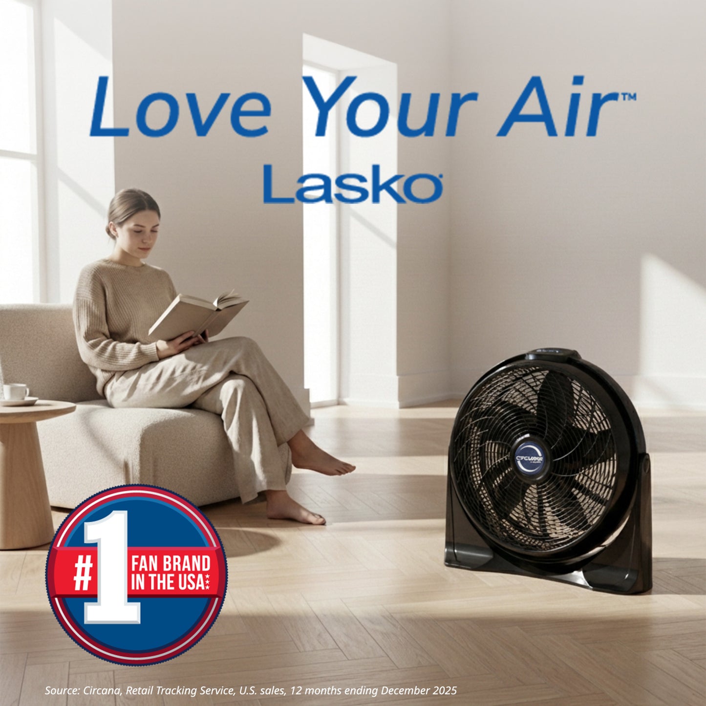 Lasko Cyclone 20" Air Circulator Fan: Wall Mount, 4-Speed, Remote, Black